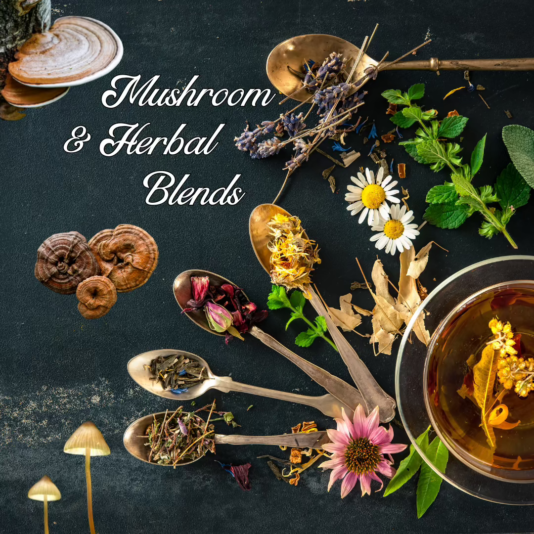 herbal tea mushroom latte