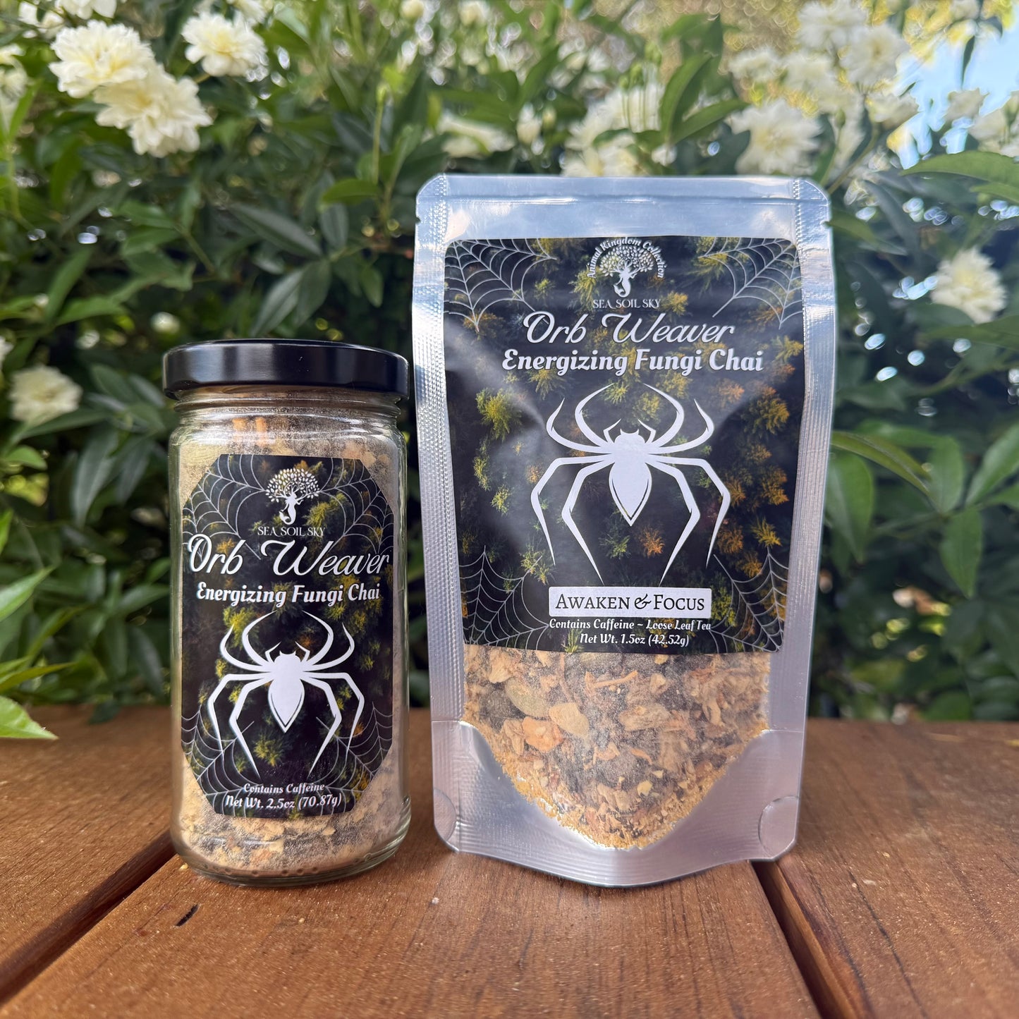 Energizing fungi tea mushroom
