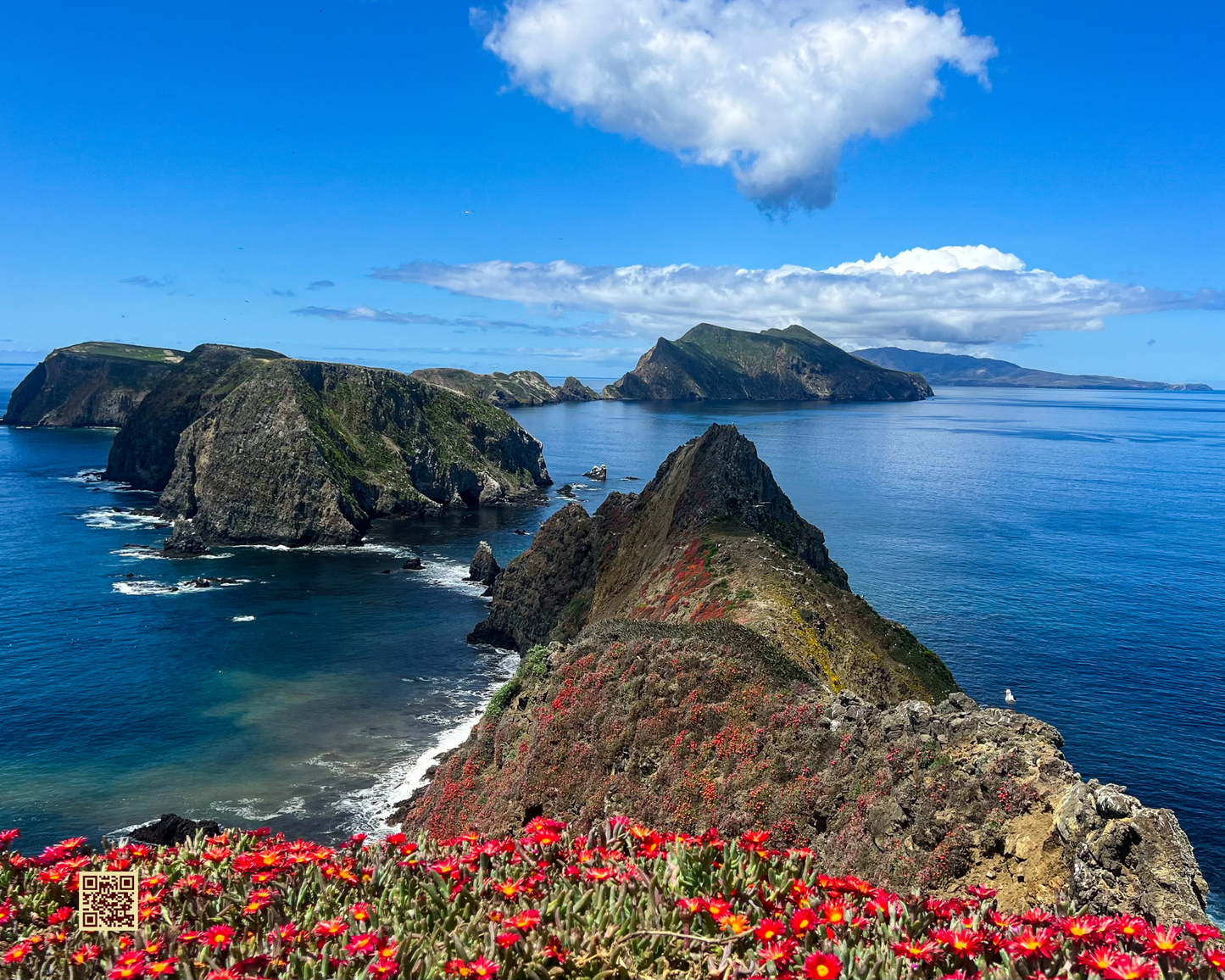 Anacapa Life - Interactive Photography