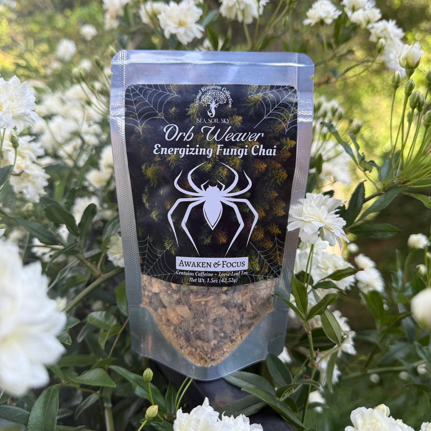 Fungi chai tea