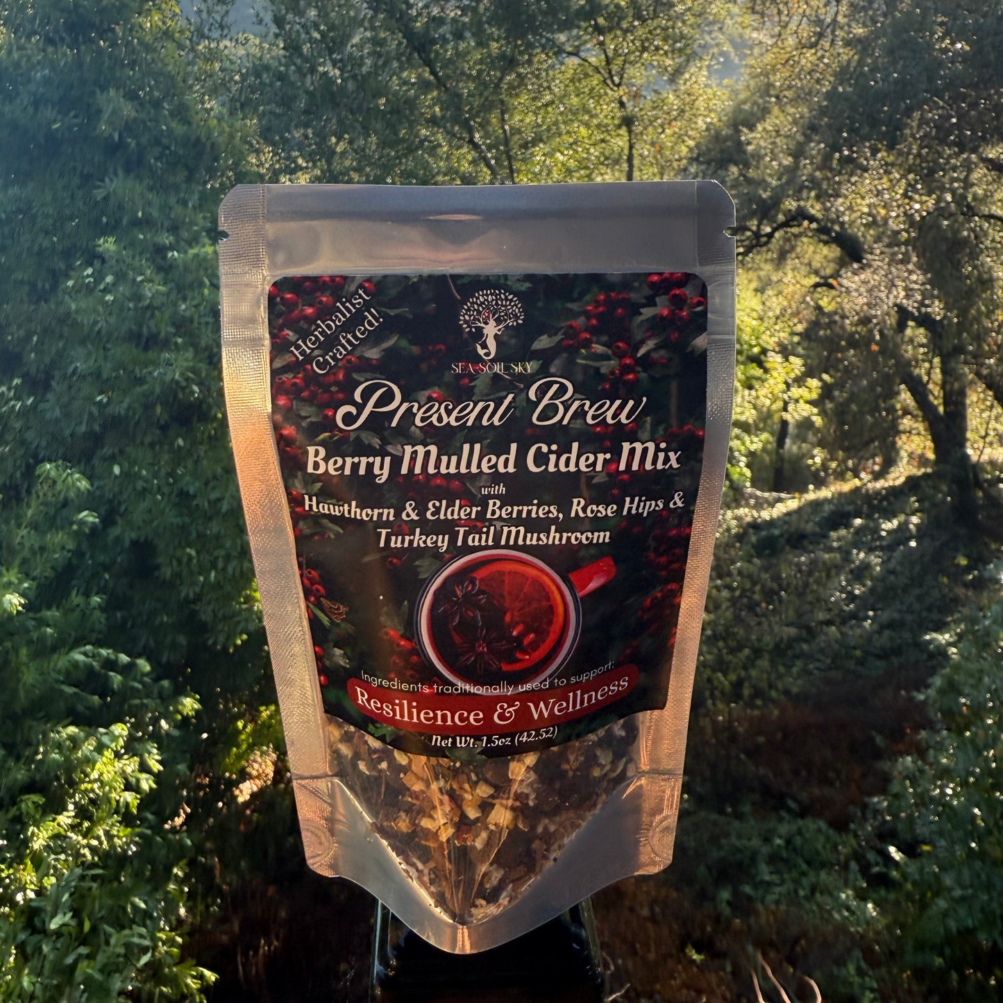 Present Brew - Berry Mulled Cider Mix