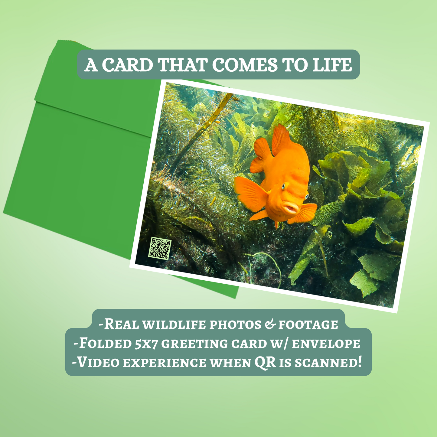 Interactive Greeting Card 5"x7"- Primal Realm