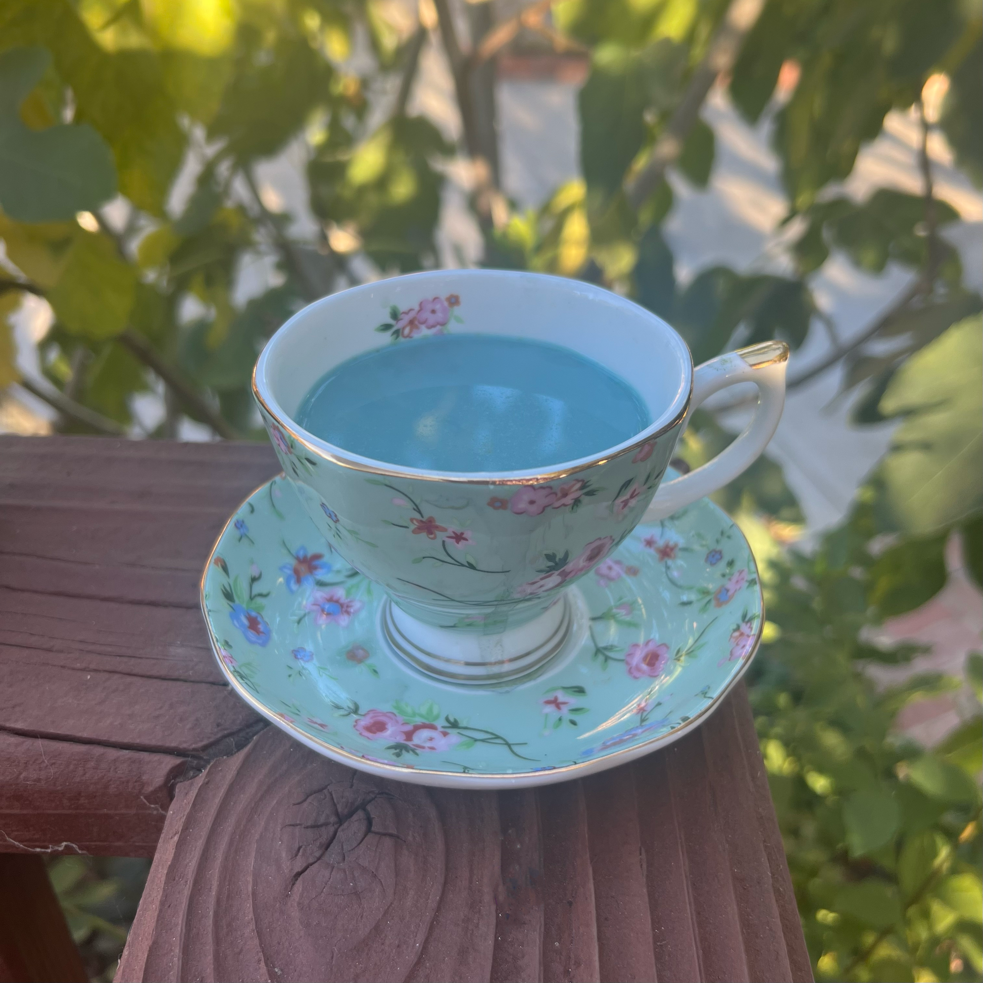 butterfly pea flower and mushroom matcha latte