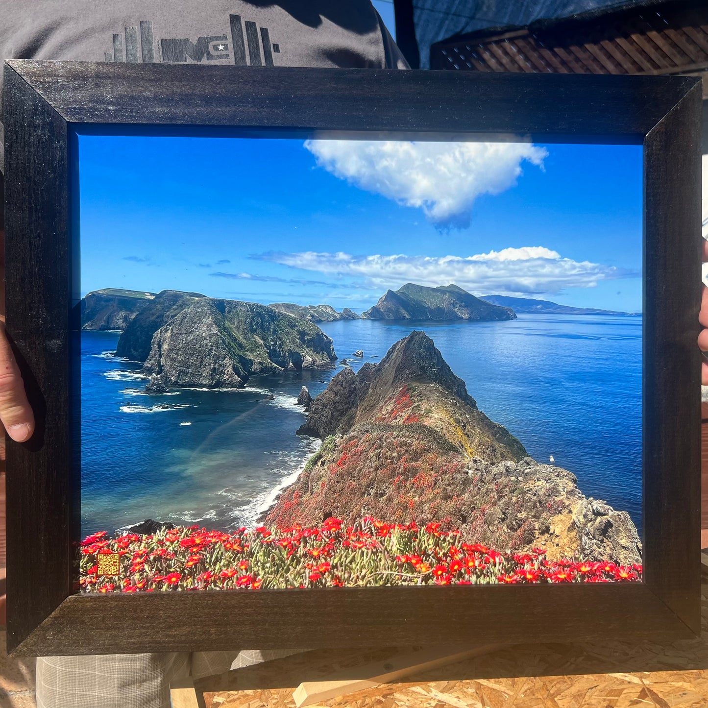 anacapa interactive photography in handmade wood frame