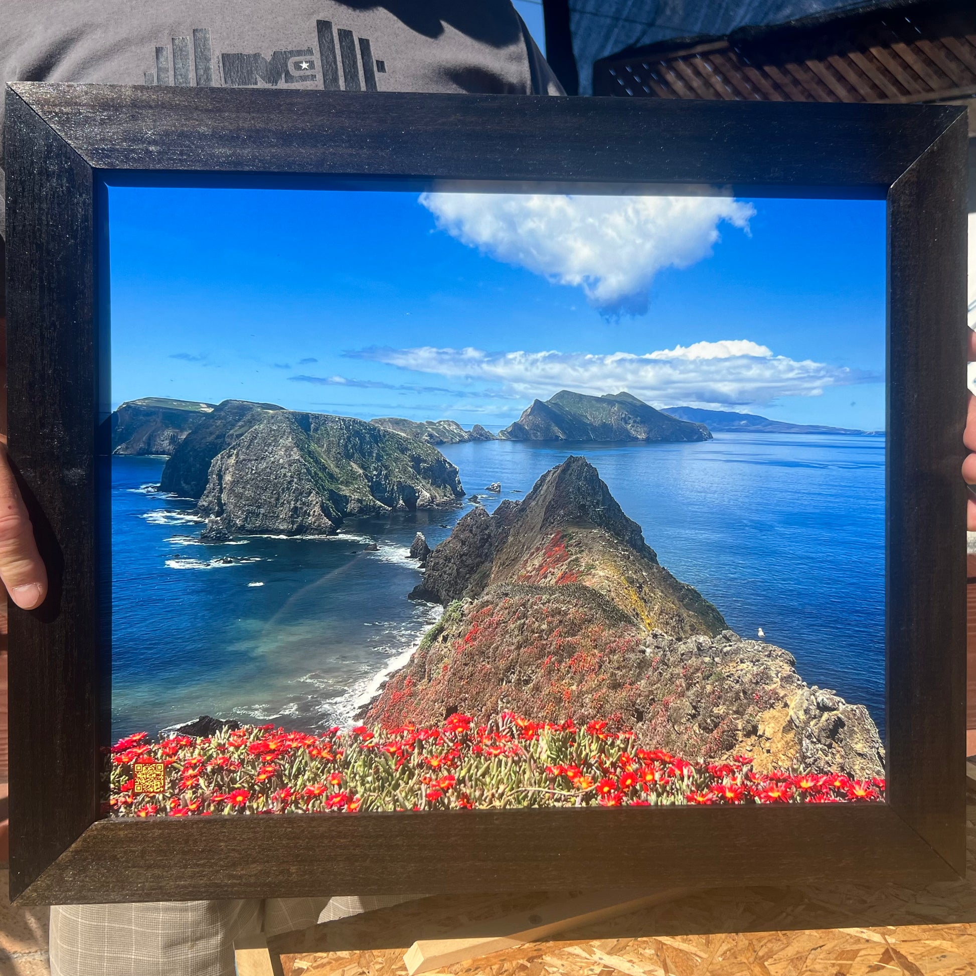 anacapa interactive photography in handmade wood frame