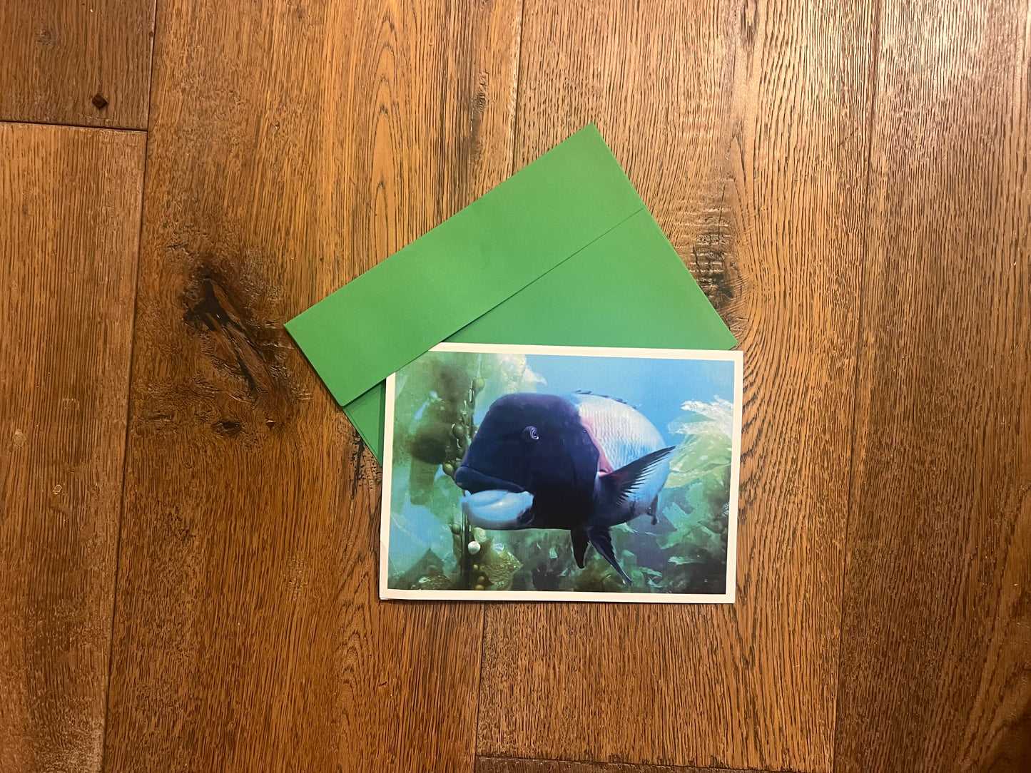 greeting card with envelope