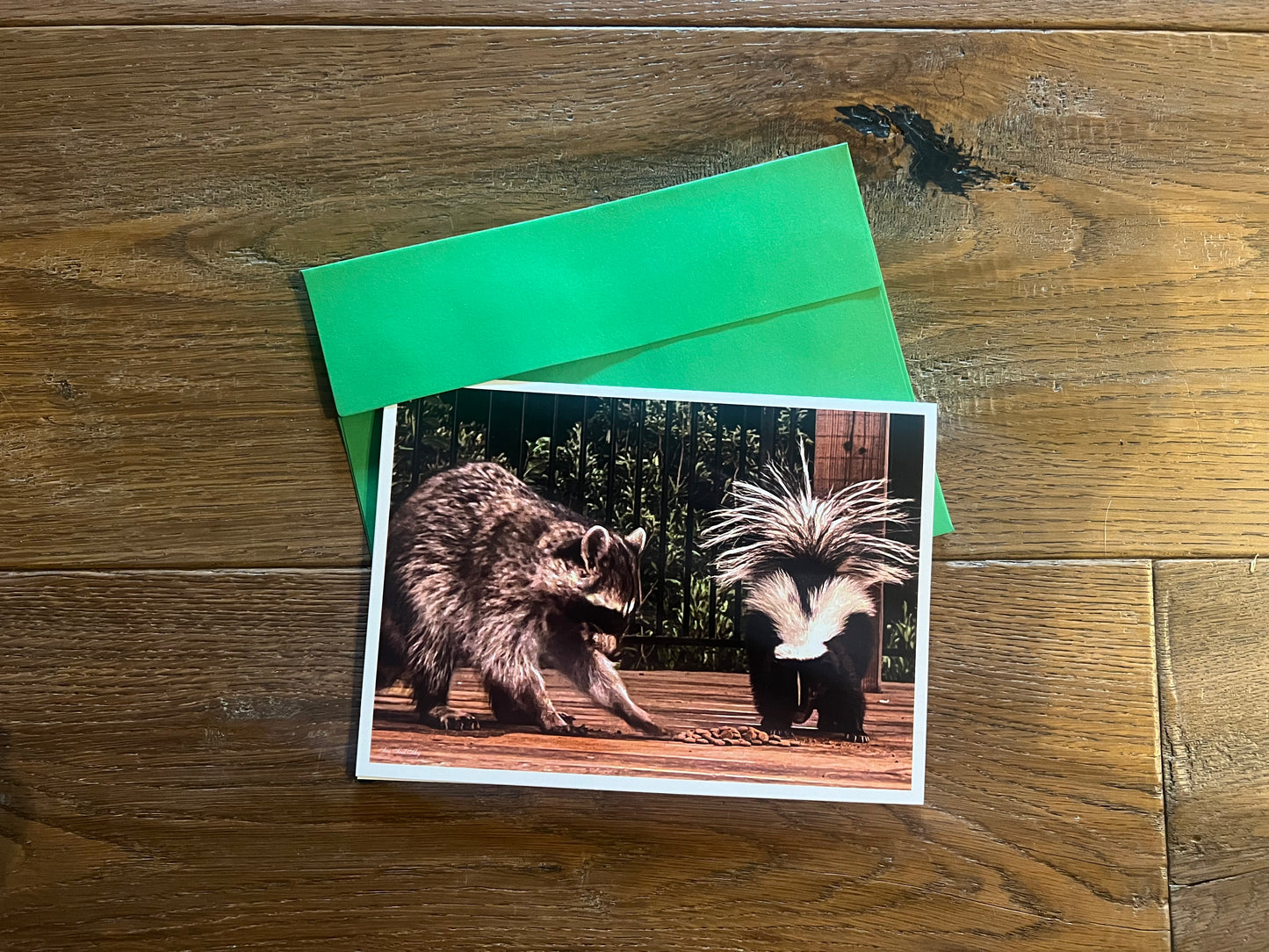 Interactive Greeting Card 5"x7" - Raccoon & Skunk