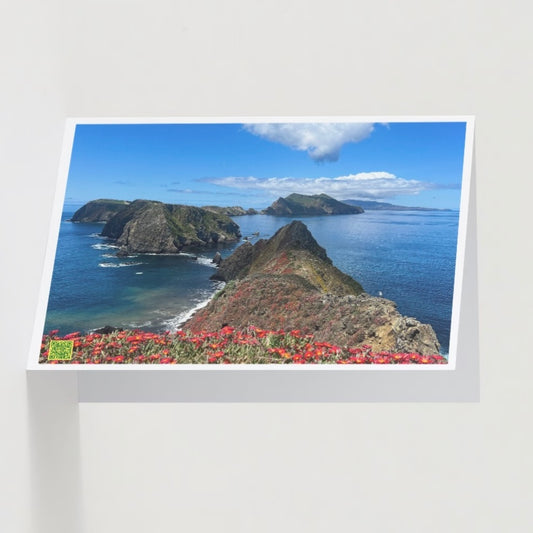 interactive wilderness and nature photography greeting card