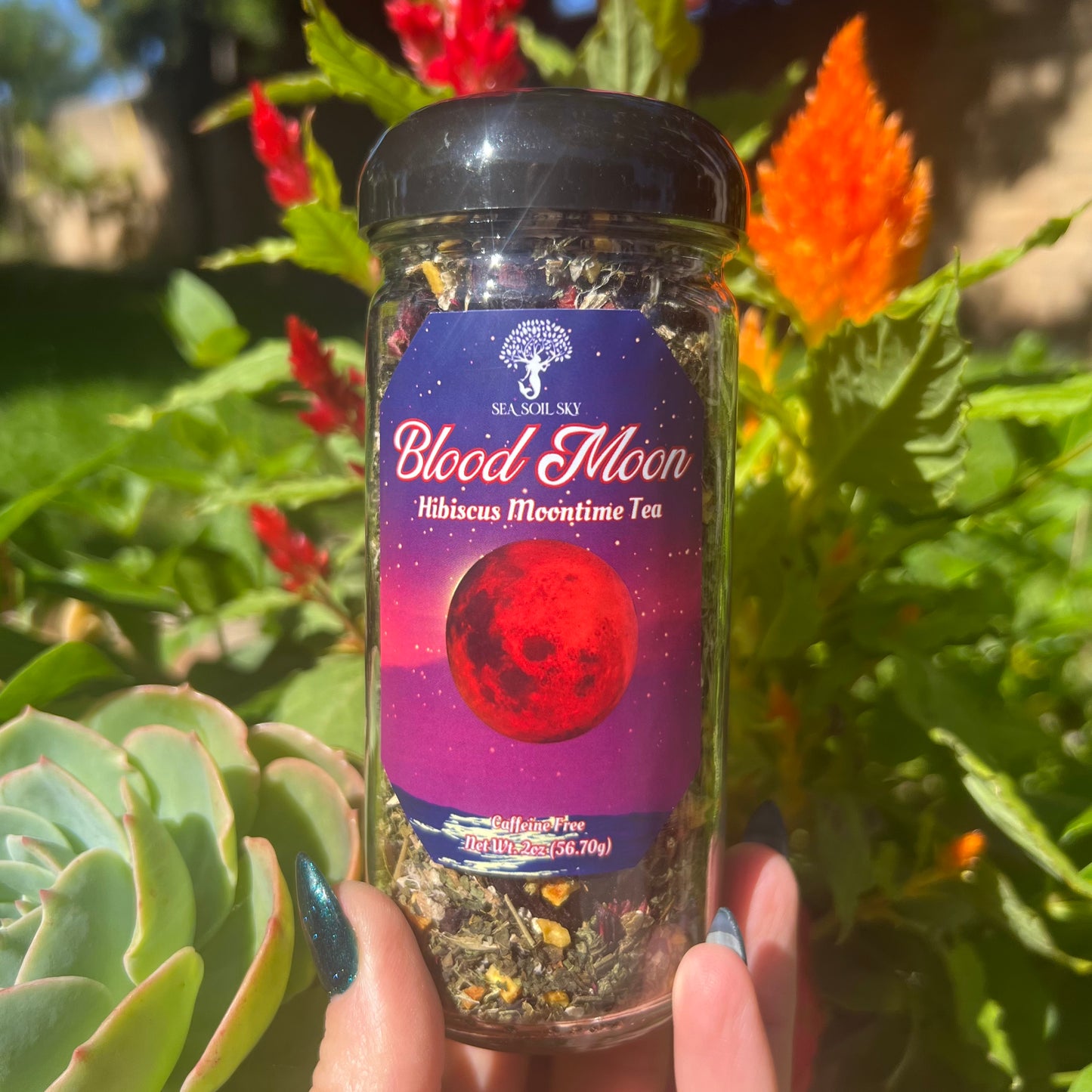 hibiscus tea blend jar