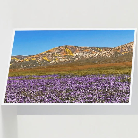 Greeting Cards Carrizo Plain