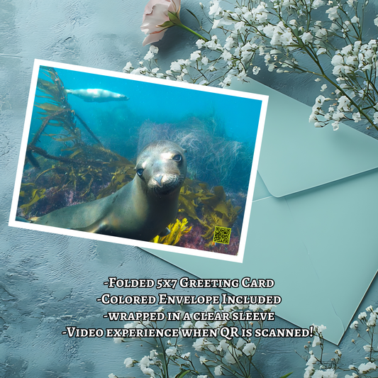 Interactive Greeting Card 5"x7"- Sea Lion