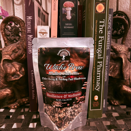 Elderberry mulled cider mix