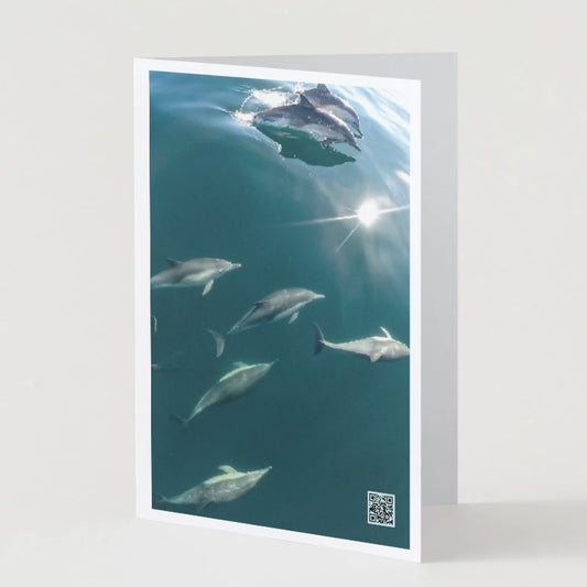 Interactive Greeting Card 5"x7" - Dolphin Cruise