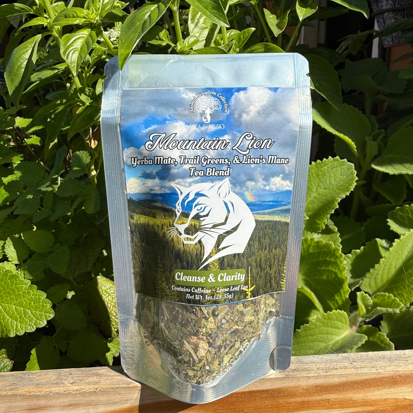 Mountain Lion - Yerba Mate, Trail Greens & Lion’s Mane Tea Blend