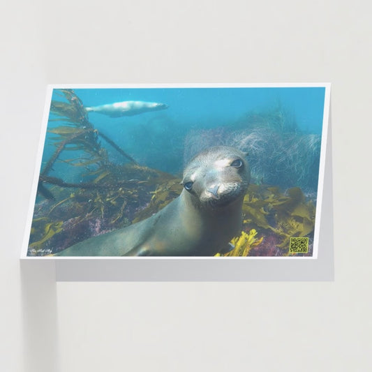 Interactive Nature Greeting Cards