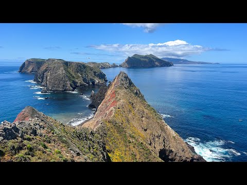 video of life at anacapa island in california