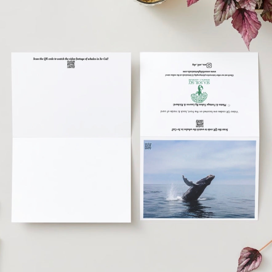 california humpback whale greeting card