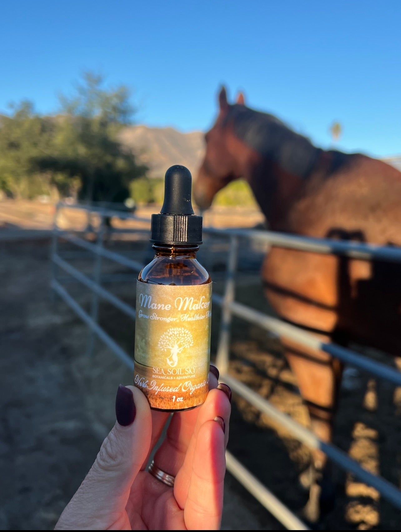 Mane Maker - Herb Infused Hair Oil